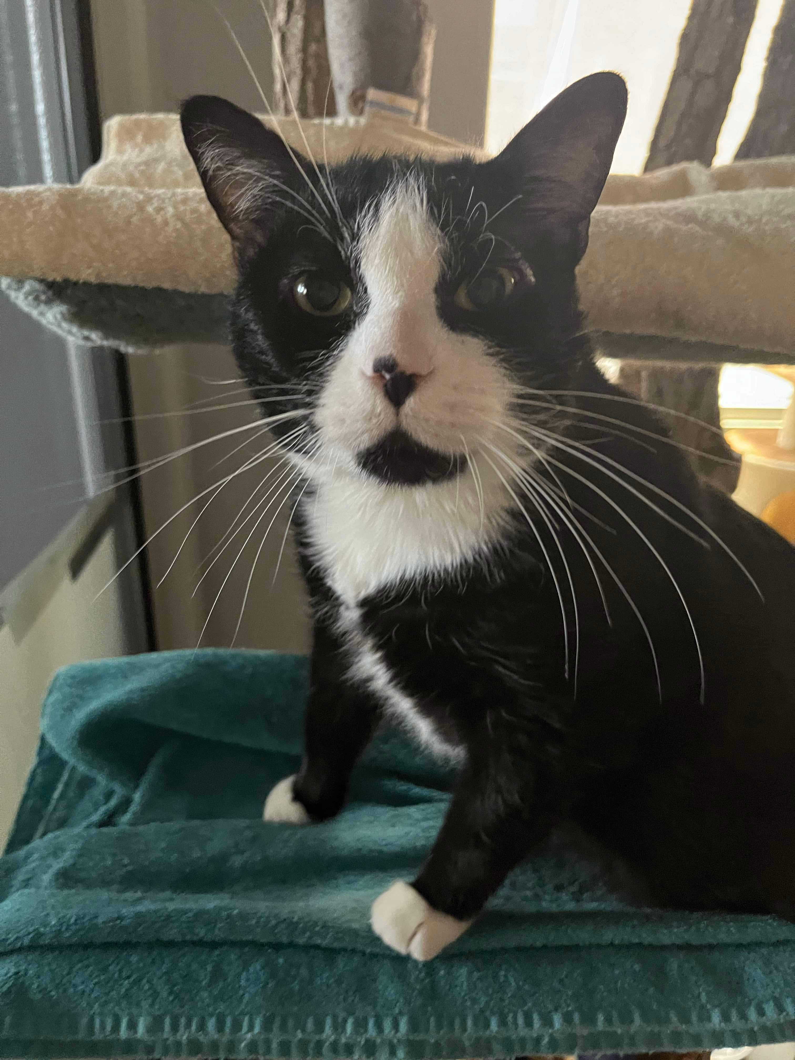 TUX