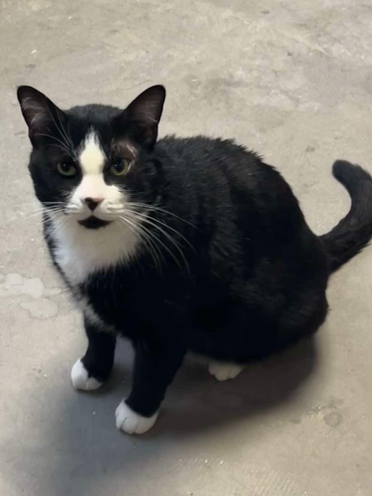 TUX photo 3