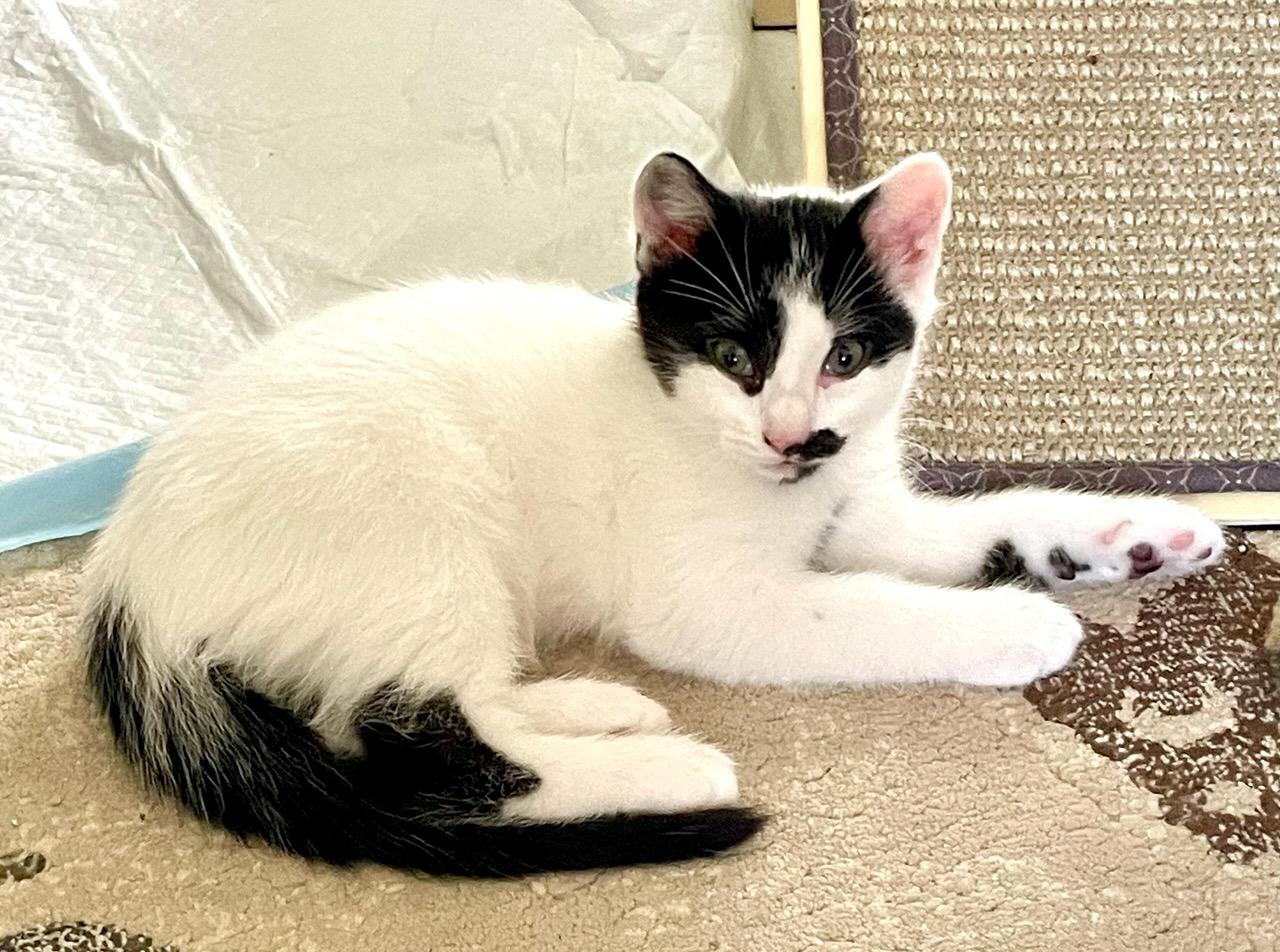 Keanu
