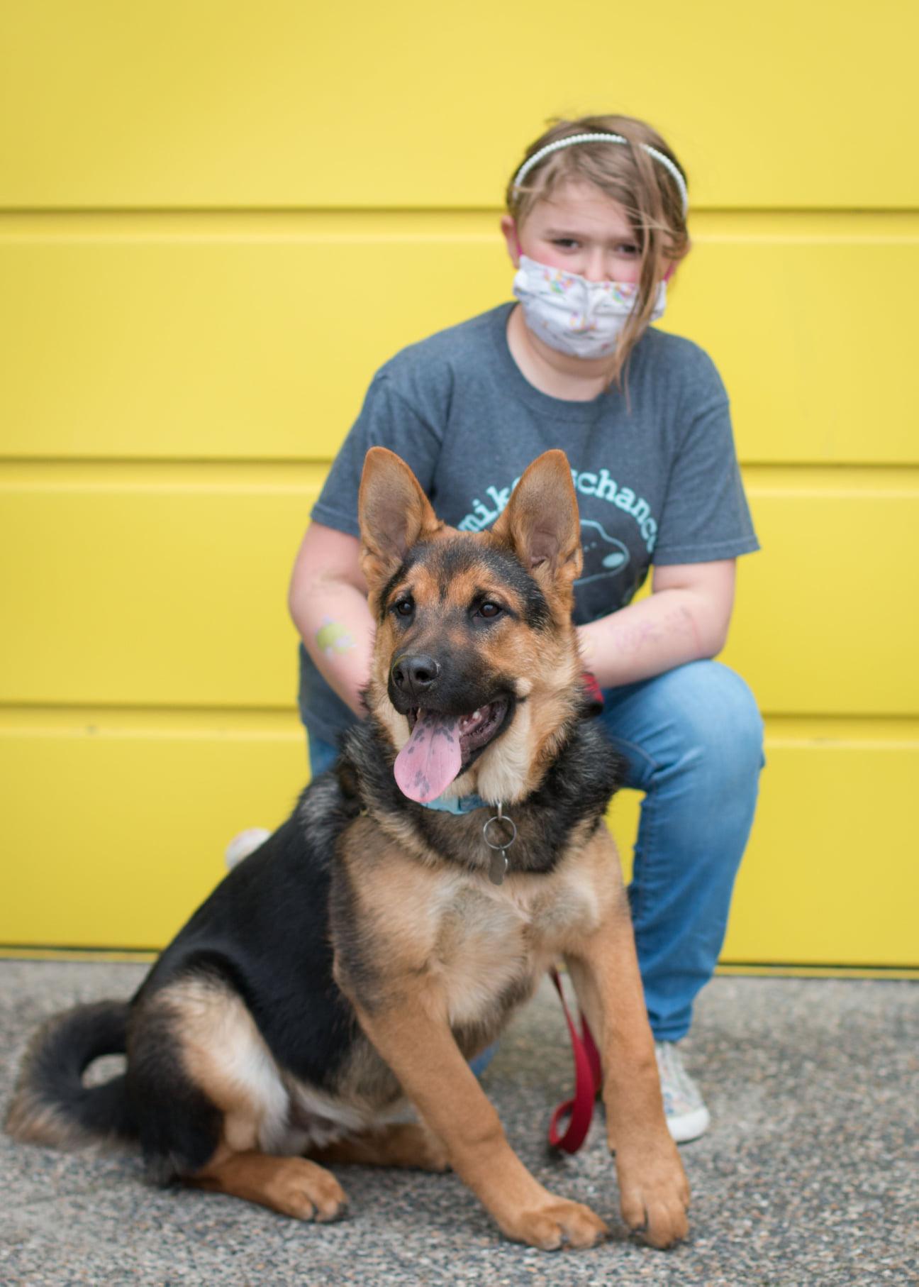 Enlarge D'Arce, a Adoptable mixed breed in West Richland, WA image 5/6