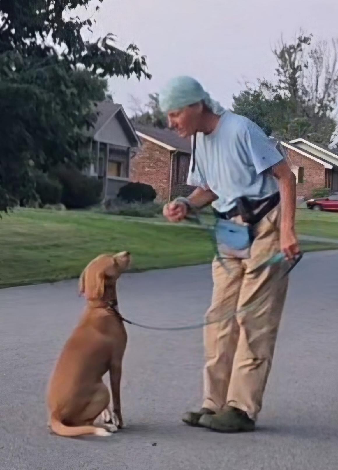 Enlarge Mitch, a Adopted mixed breed in Campbellsville, KY image 5/6