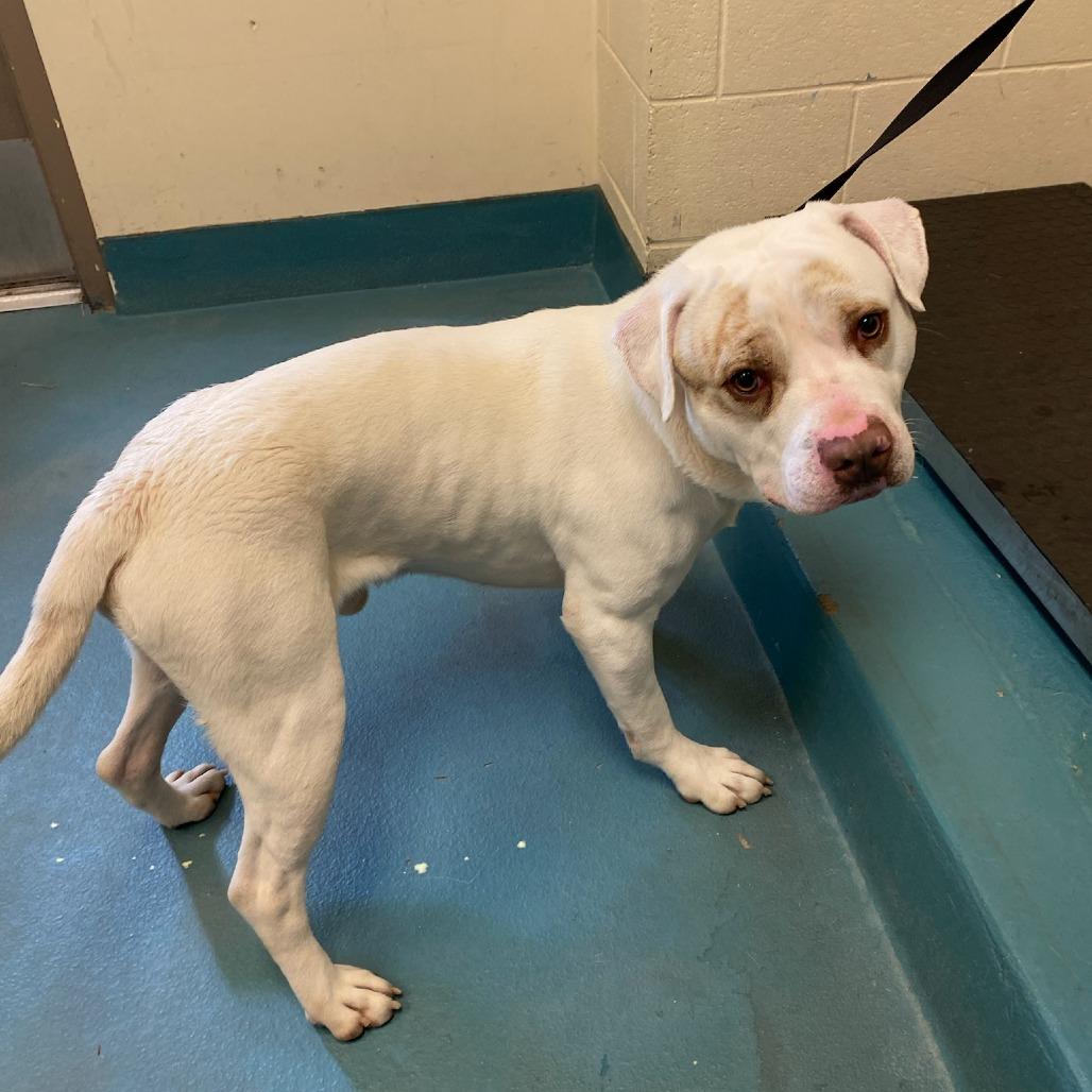 VAGAS — thumbnail 2