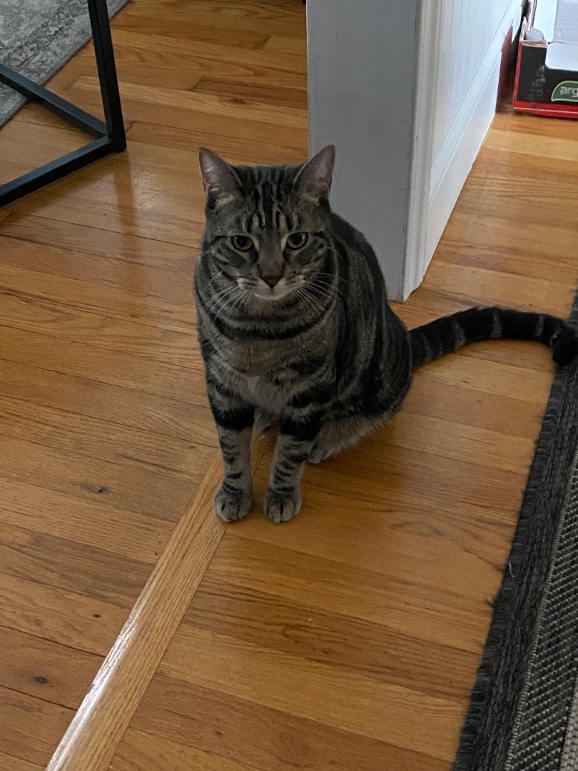 Chuck — thumbnail 5