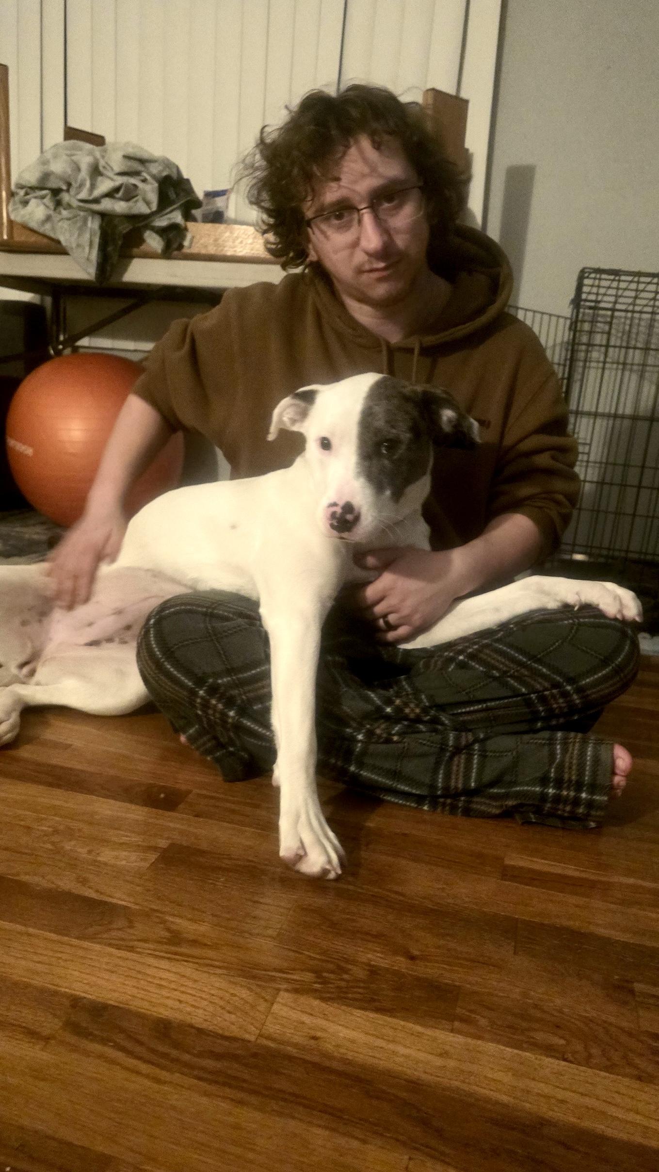 Enlarge Luna, a Adoptable mixed breed in Port Angeles, WA image 5/6