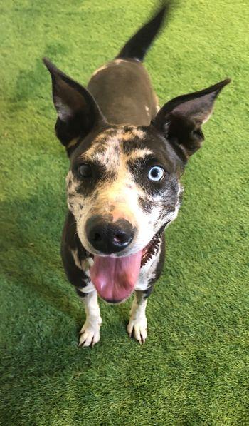 Penny — thumbnail 2