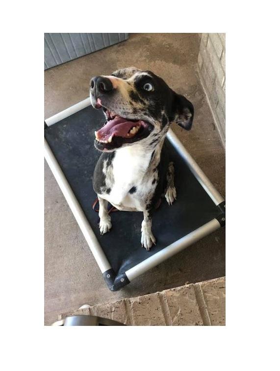 Penny — thumbnail 5