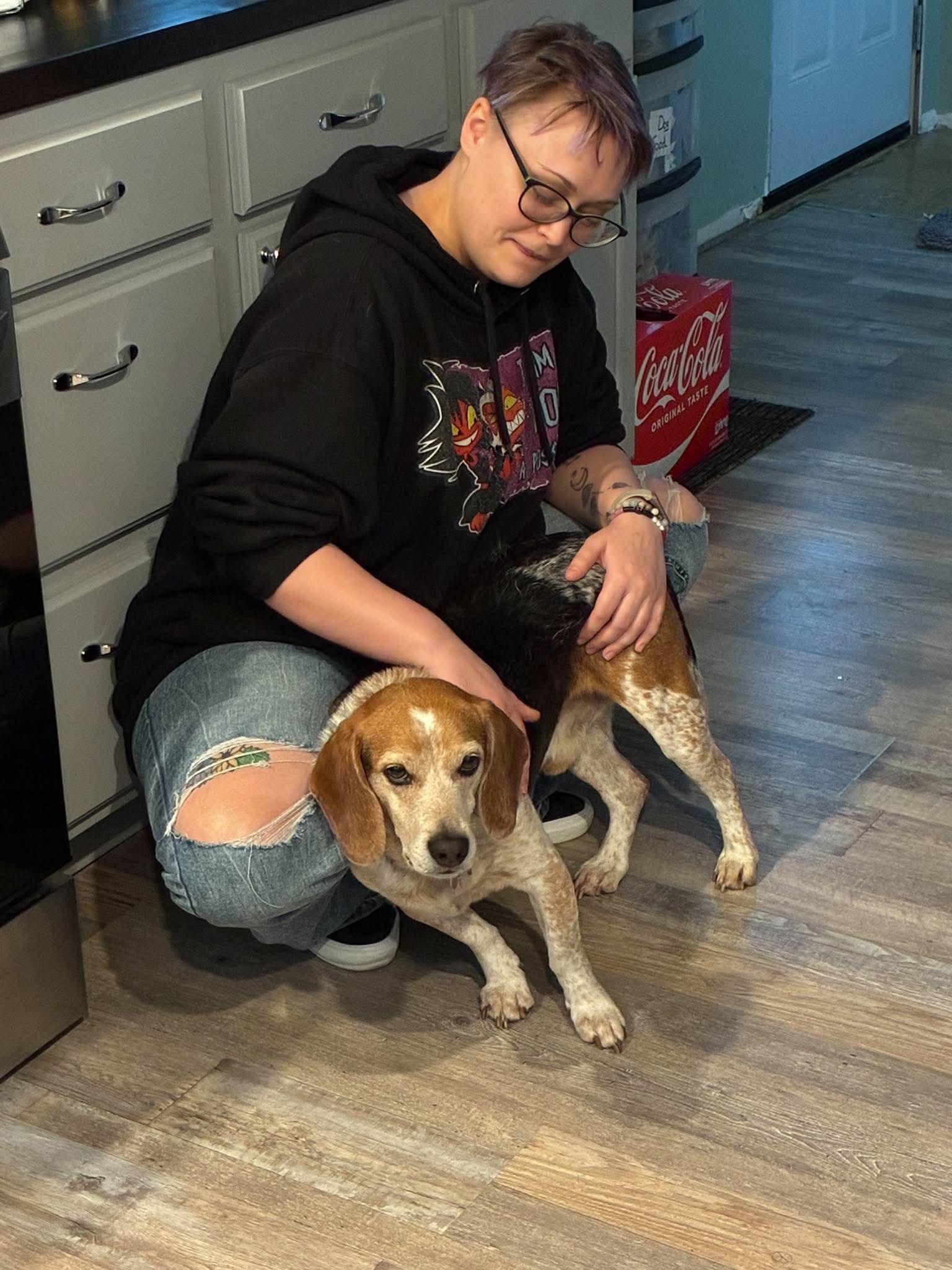 Festus, a ADOPTABLE Beagle in Chicago, IL image 5/5