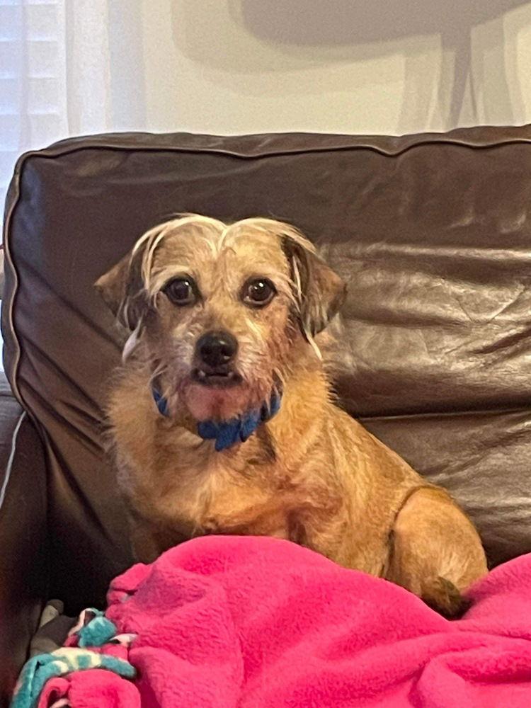 Toto~ — thumbnail 3