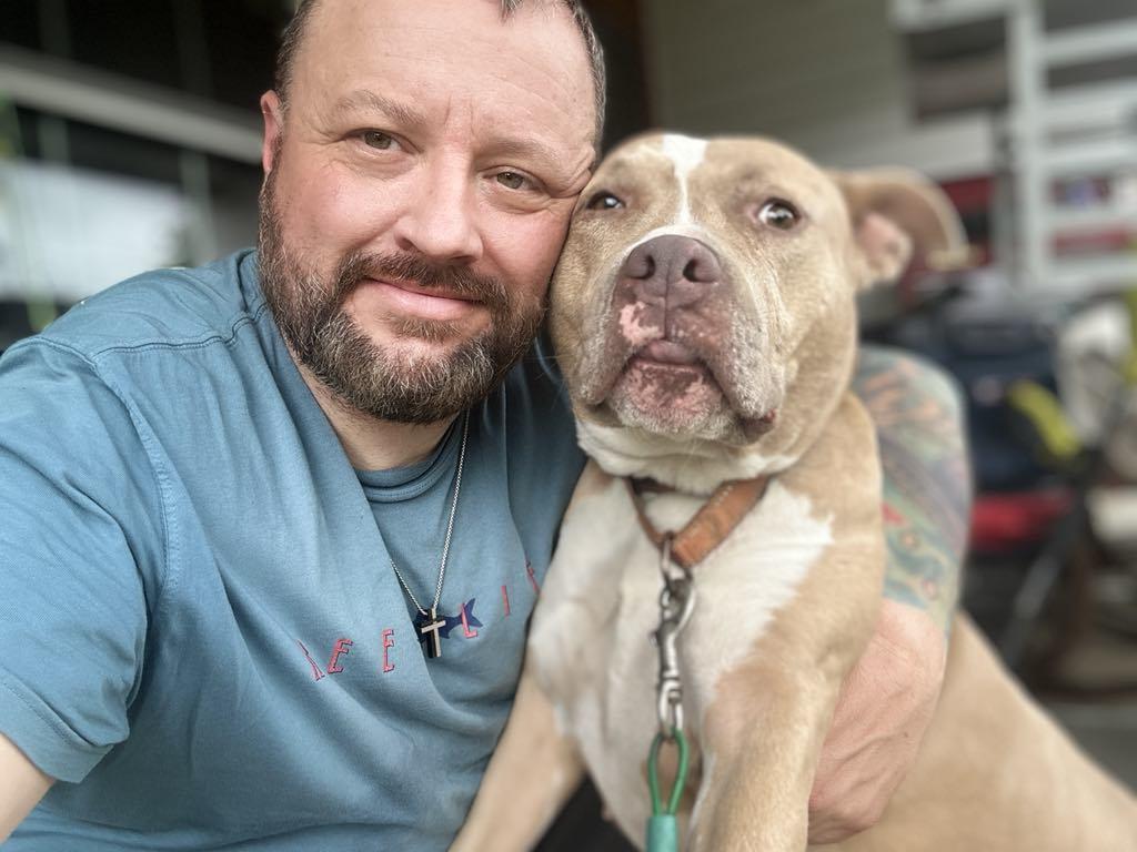 Enlarge Annabella, a Adoptable American Staffordshire Terrier in Mechanicsville, MD image 2/3