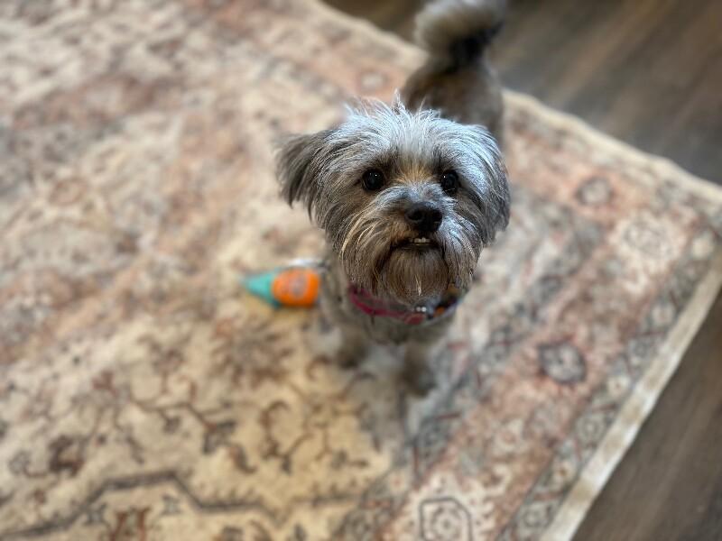 Pretty Tilly thumbnail 4