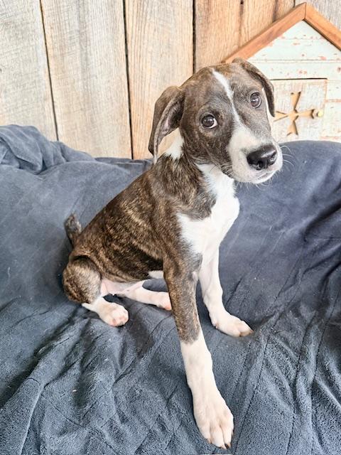 Dayna — thumbnail 3