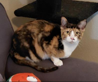 Tuvalu — thumbnail 3