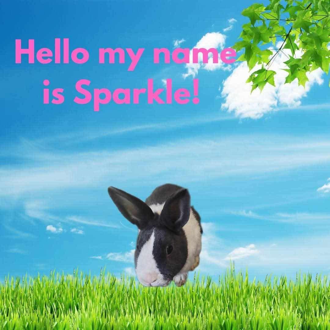 Sparkle, Young Female unknown