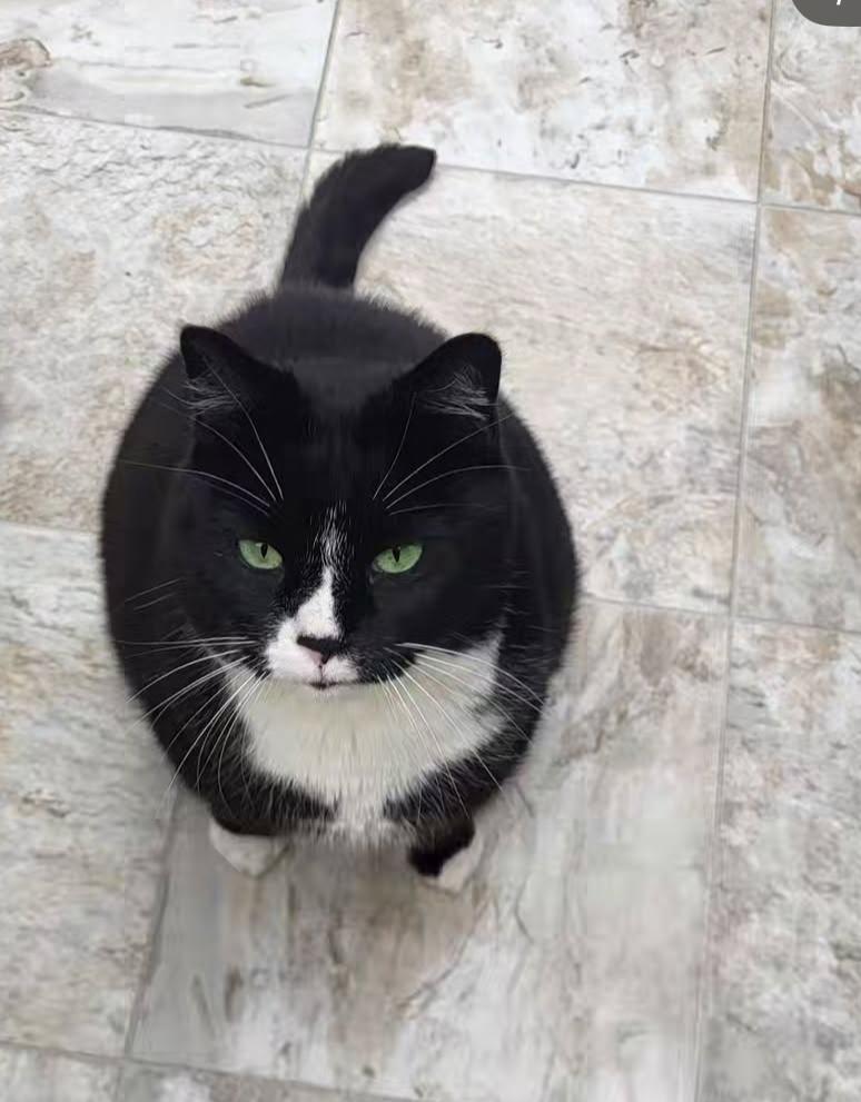 Corporal Truelove (Bonded with Sockeye)