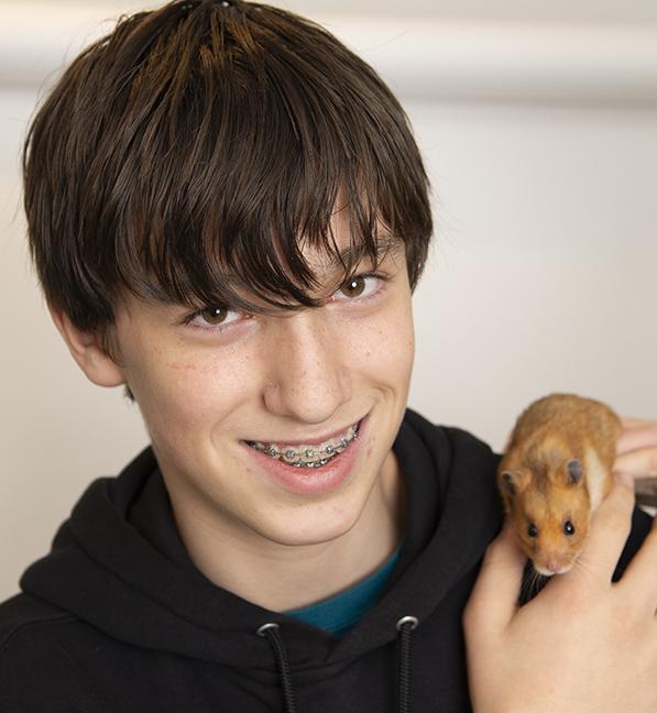 Enlarge Strawberry Hamster, a ADOPTABLE mixed breed in Chicago, IL image 3/6