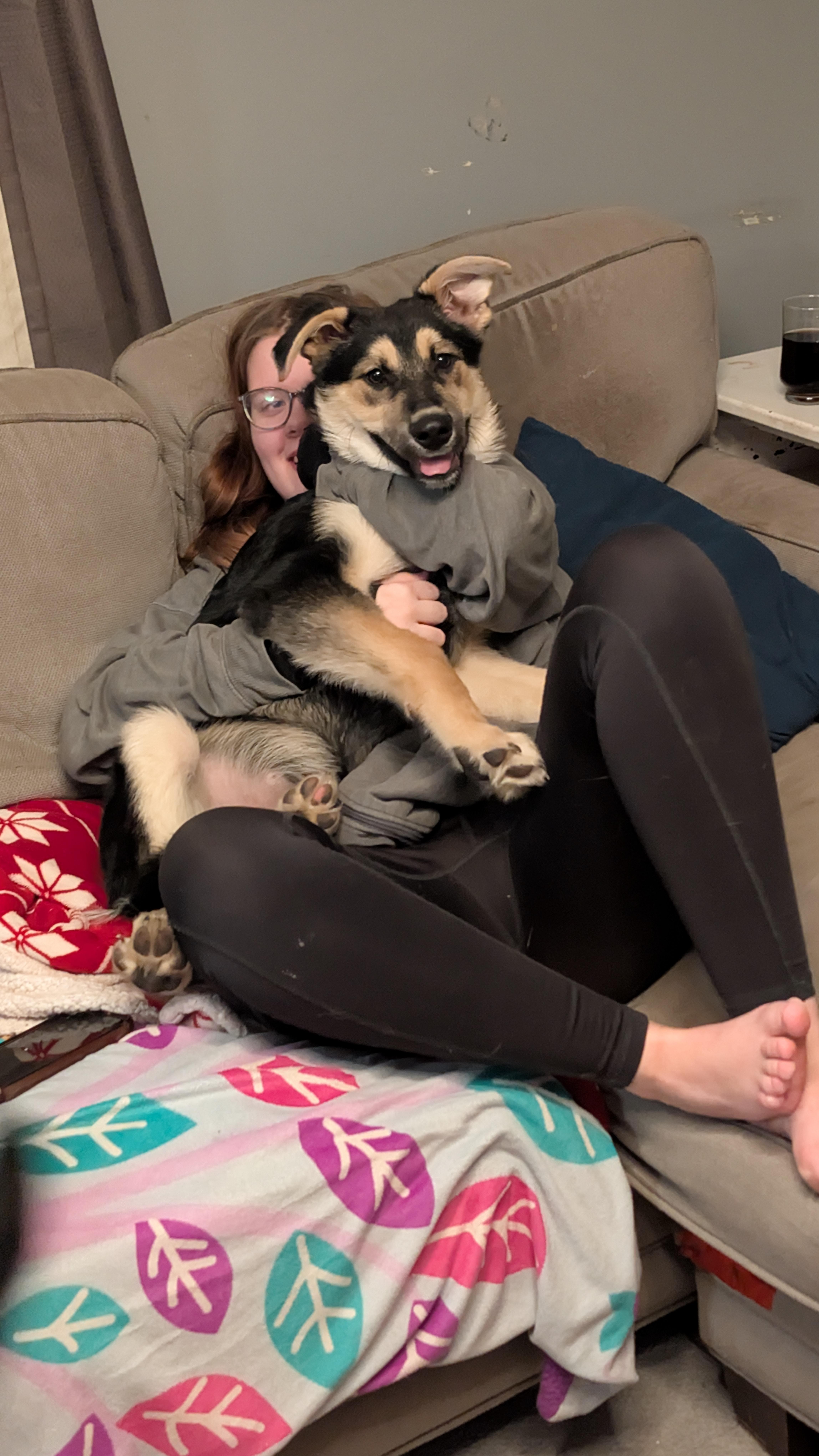 Enlarge Pepe Silvia, a ADOPTABLE Mixed Breed in Saskatoon, SK image 2/5