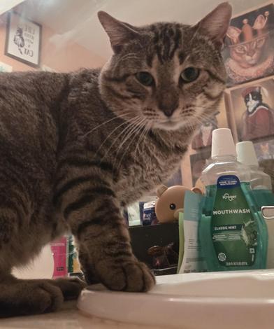 Billy Ray — thumbnail 5