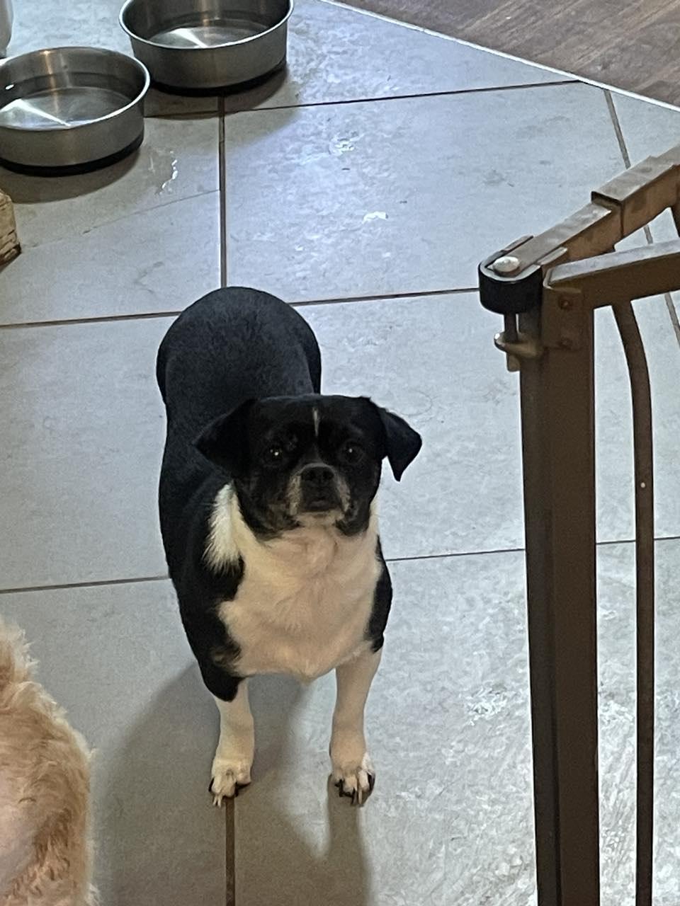 Lily & Daizy thumbnail 5