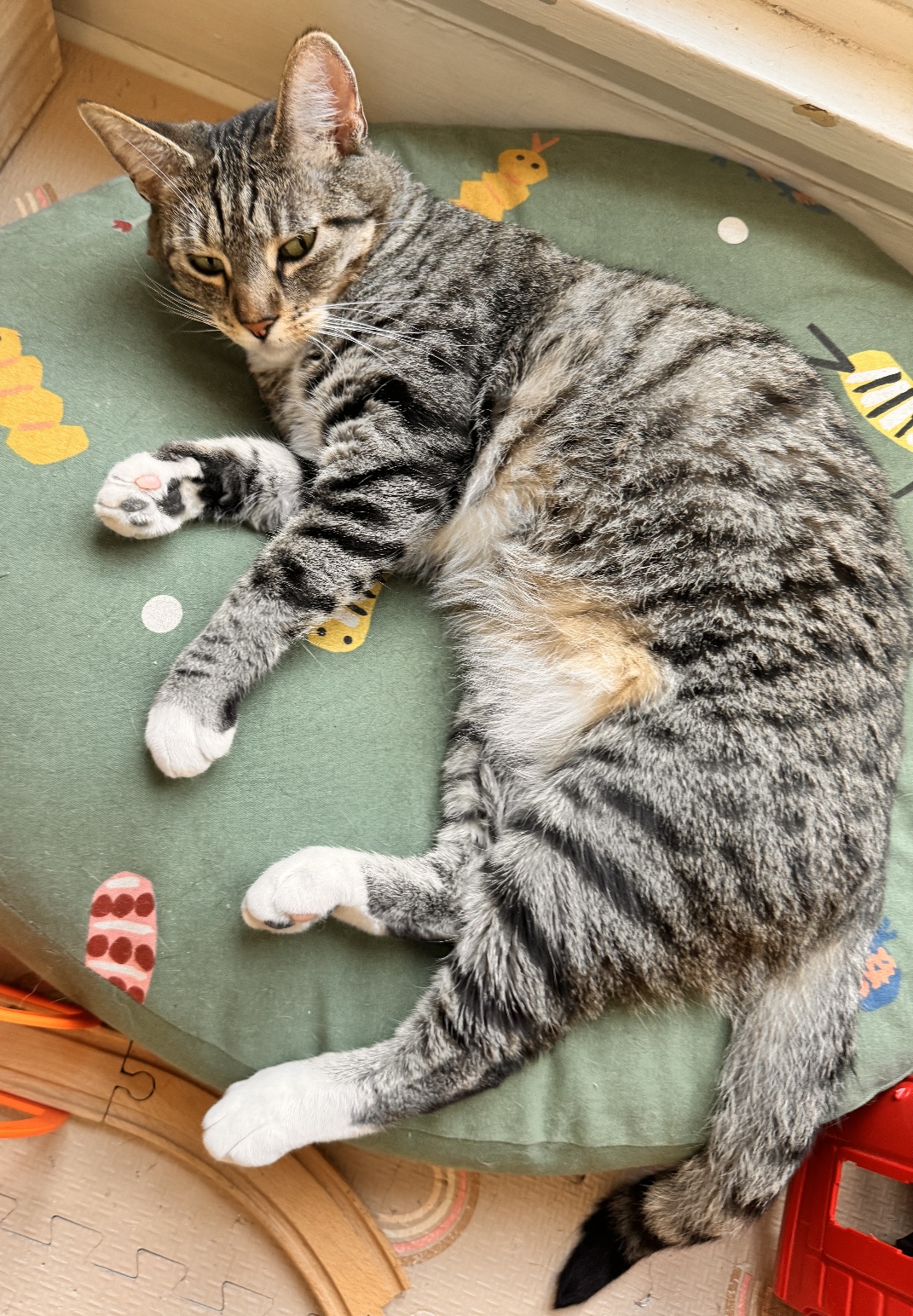 Chanel — thumbnail 6