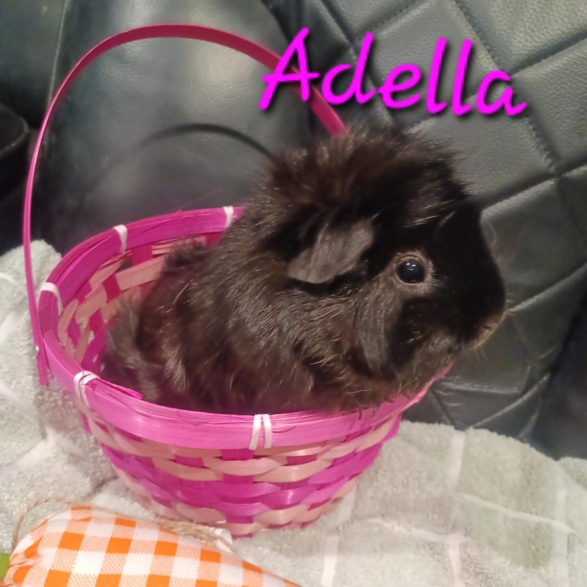 Adella