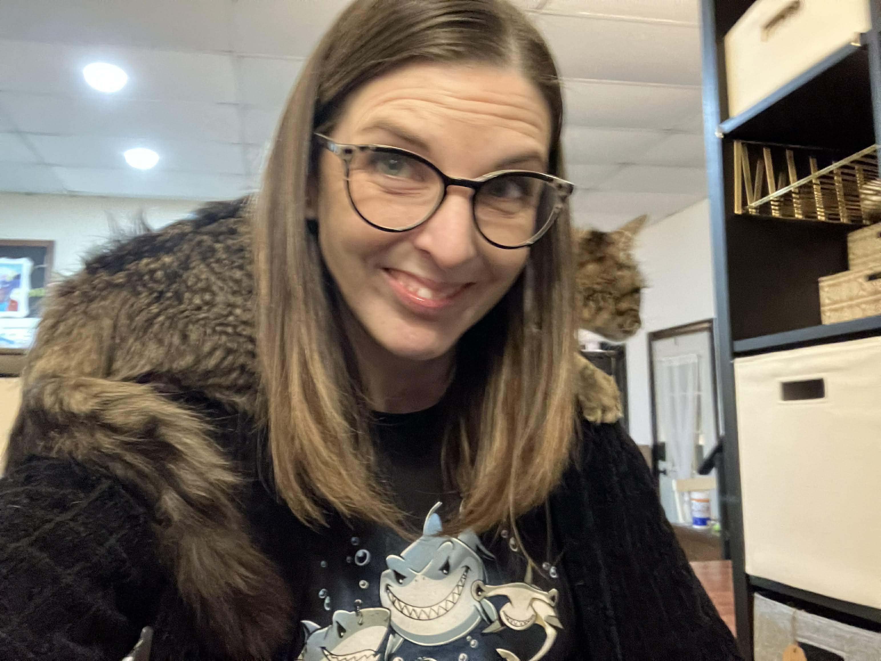 Enlarge  Panini - Ultra sweet velcro kitty, a Adoptable Domestic Medium Hair in Muskego, WI image 4/6