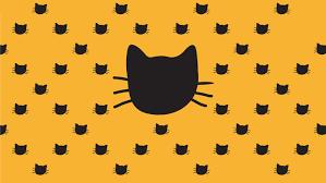 Encina-no adoptable pet, a Adoptable mixed breed in Bettles, AK image 2/6