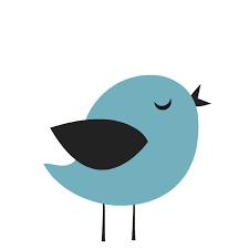 Encina-no adoptable pet, a Adoptable mixed breed in Bettles, AK image 5/6