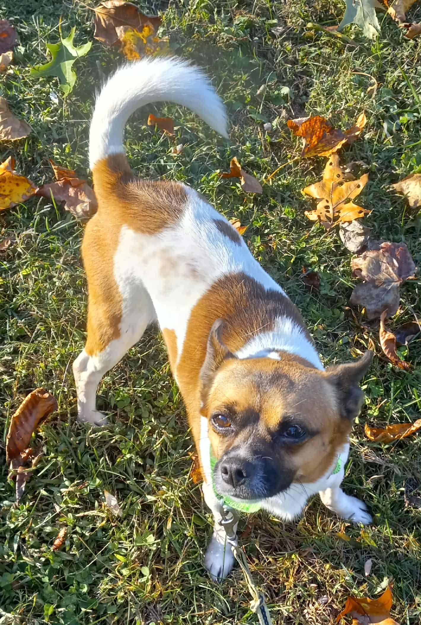 My Buddy in Kentucky