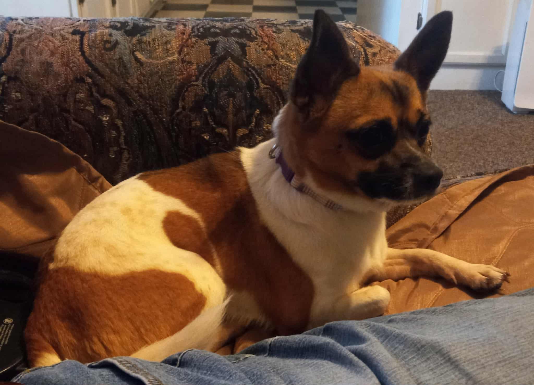 My Buddy in Kentucky