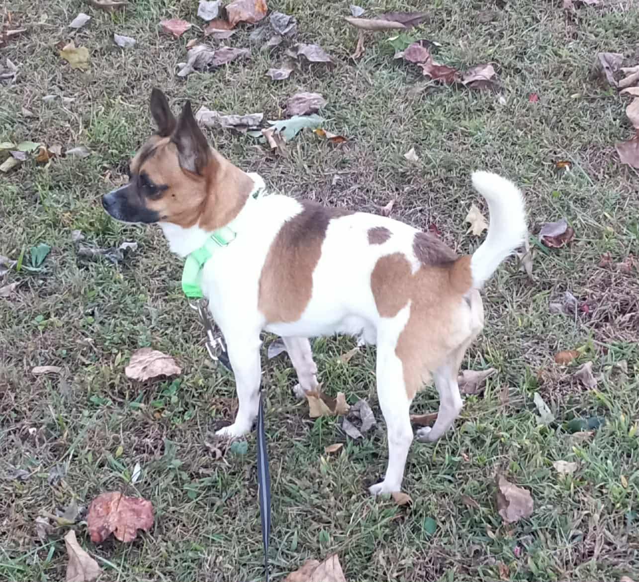 My Buddy in Kentucky