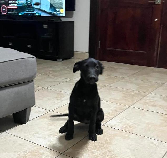 Tami — thumbnail 2