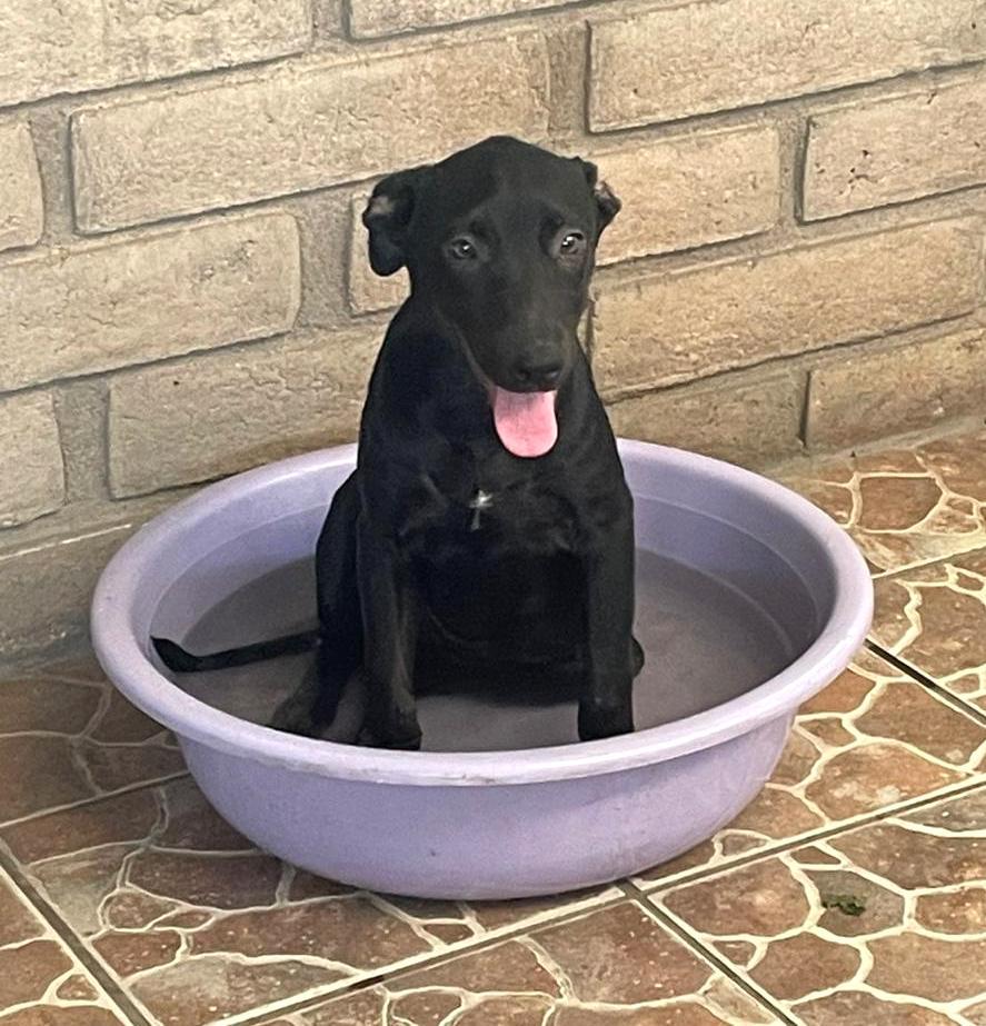 Tami — thumbnail 4