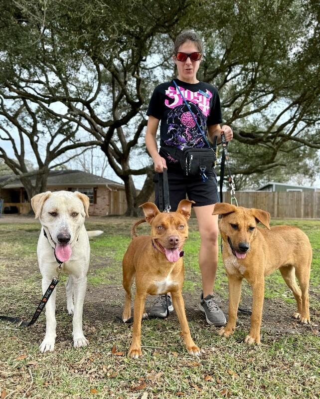 Sterling Bear the Certified Lover Boy — thumbnail 3