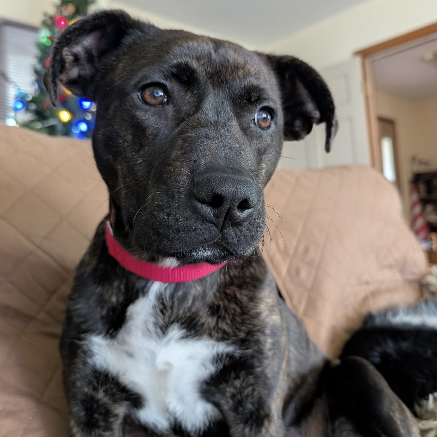 Nina—urgent! thumbnail 4