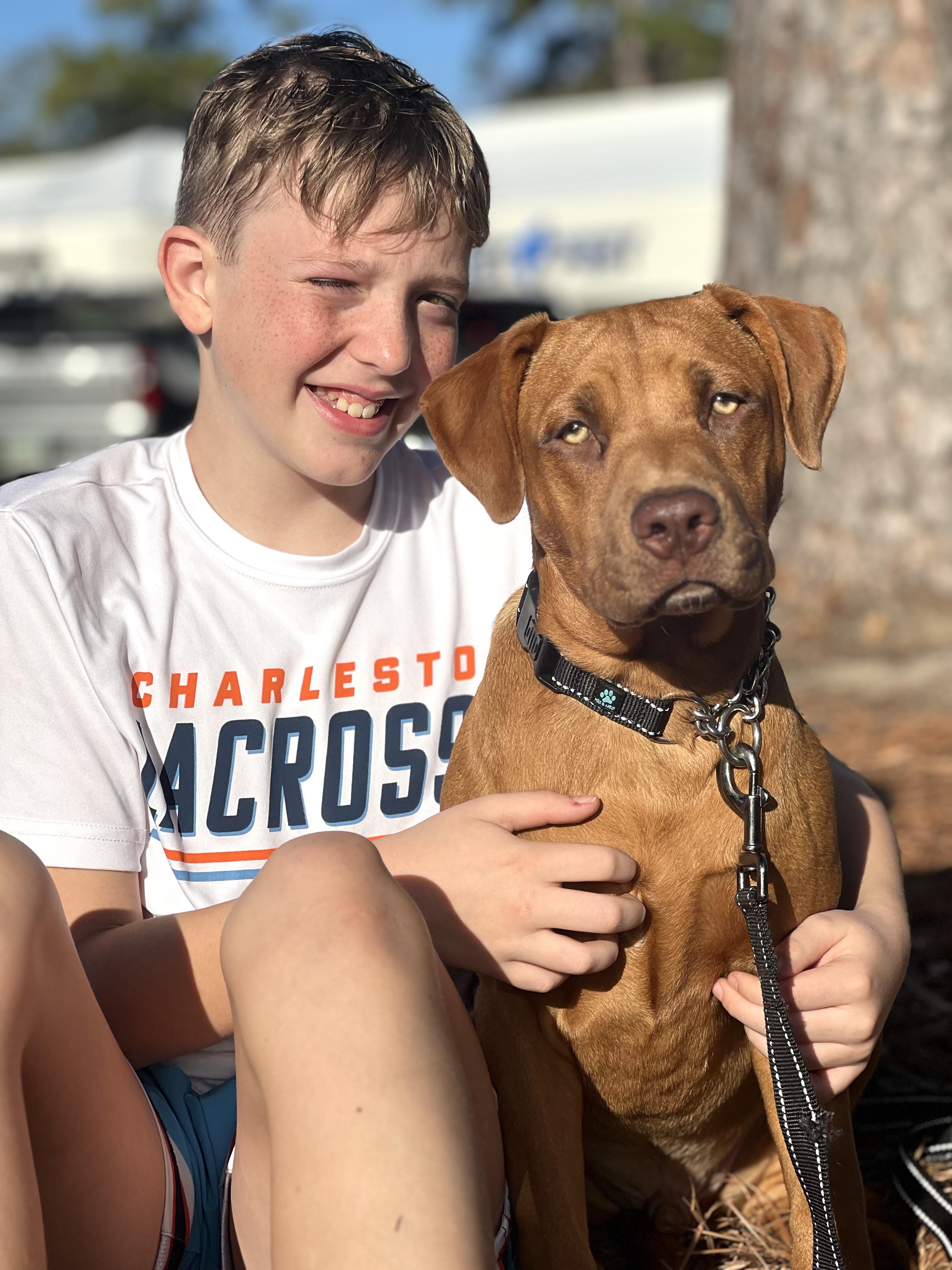 Chip, Adoptable, Young Male Mixed Breed.