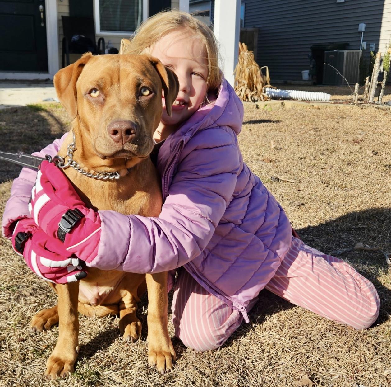 Enlarge Chip, a Adoptable mixed breed in Mt Pleasant, SC image 1/6