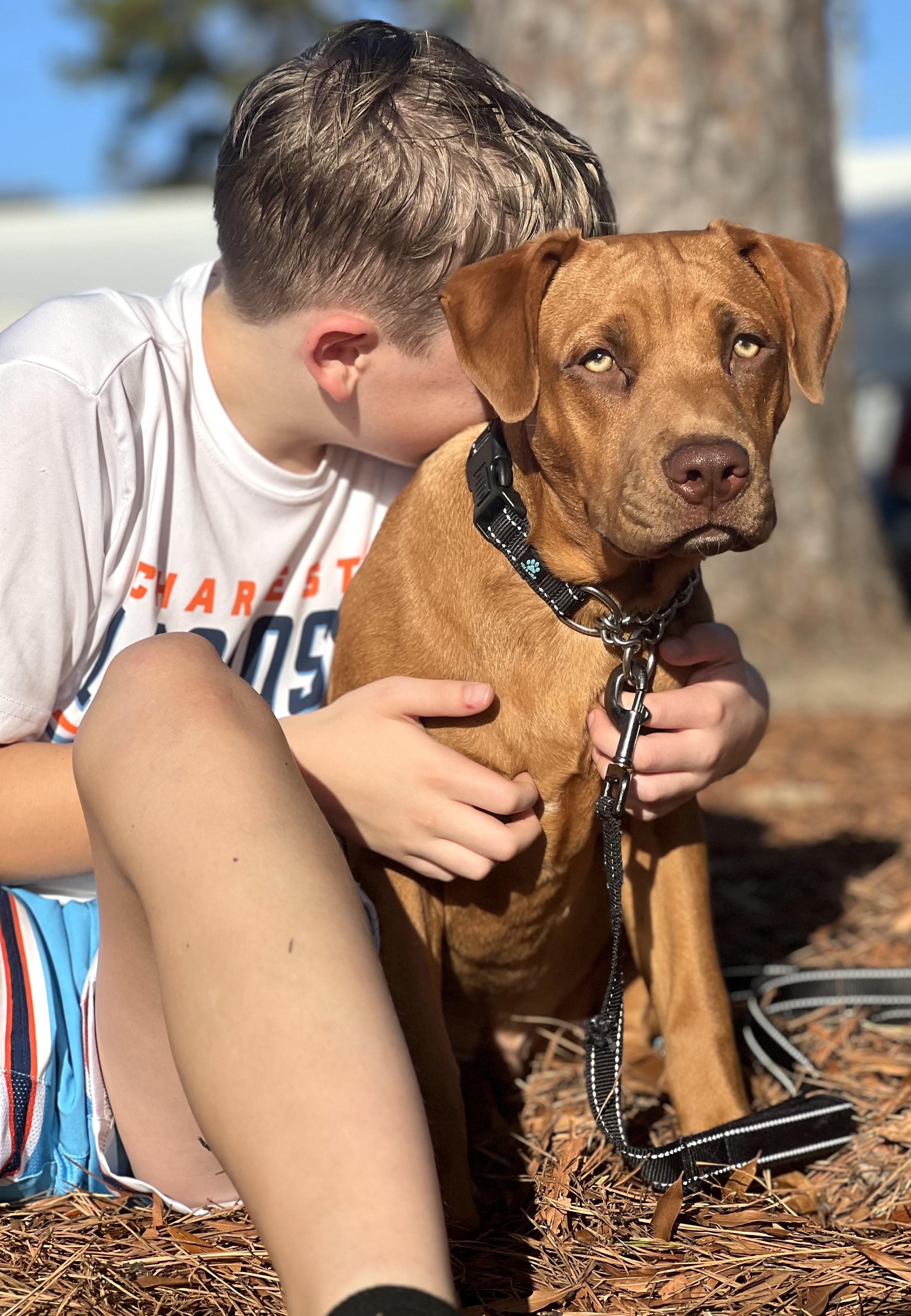 Enlarge Chip, a Adoptable mixed breed in Mt Pleasant, SC image 6/6