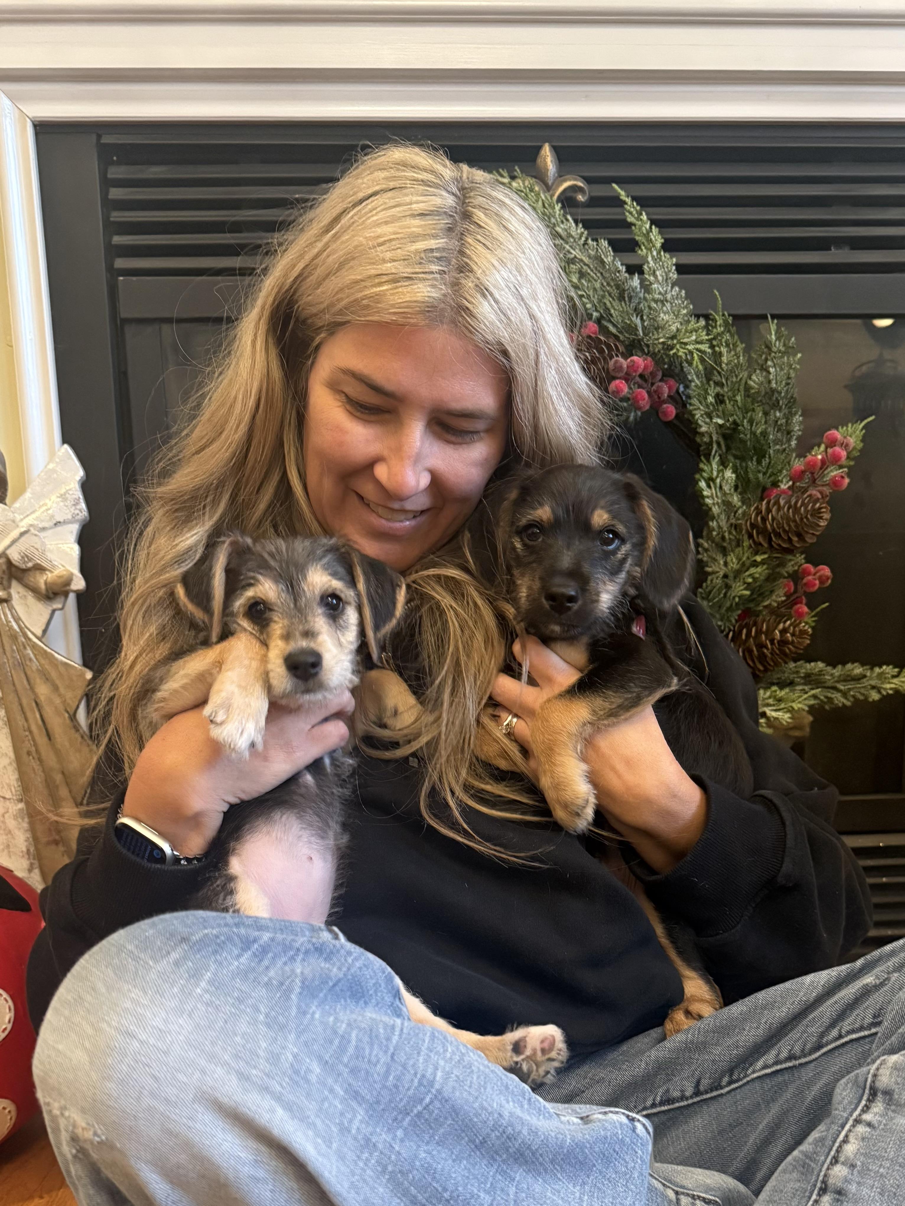 Emmanuel (Manny), a ADOPTABLE mixed breed in Kings Mountain, NC image 4/6