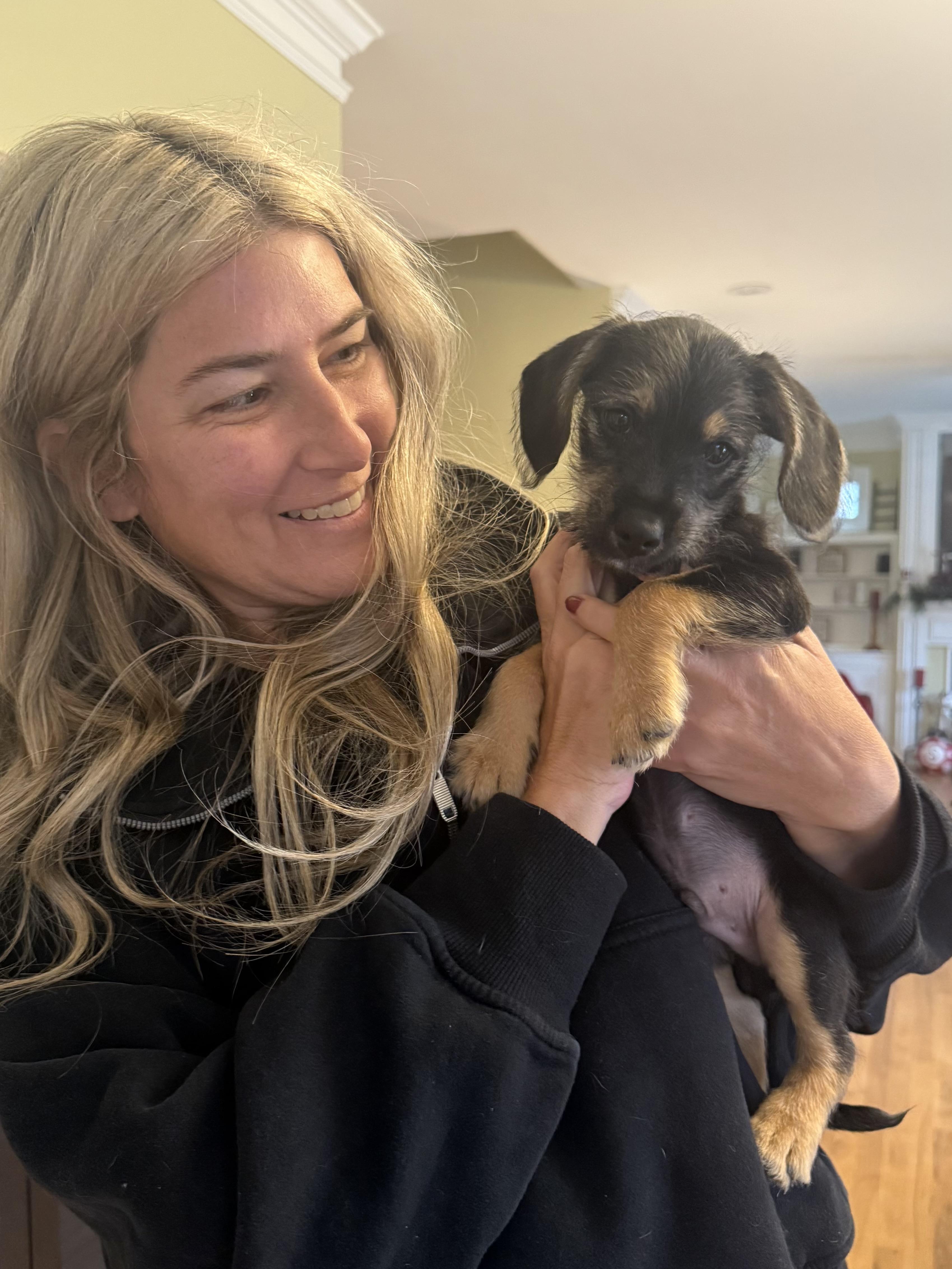 Emmanuel (Manny), a ADOPTABLE mixed breed in Kings Mountain, NC image 6/6
