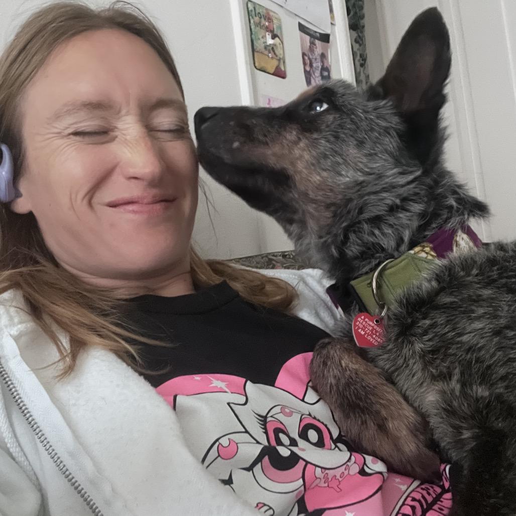 Enlarge Chuck Wagon, a Adoptable Cattle Dog in Los Angeles, CA image 6/6