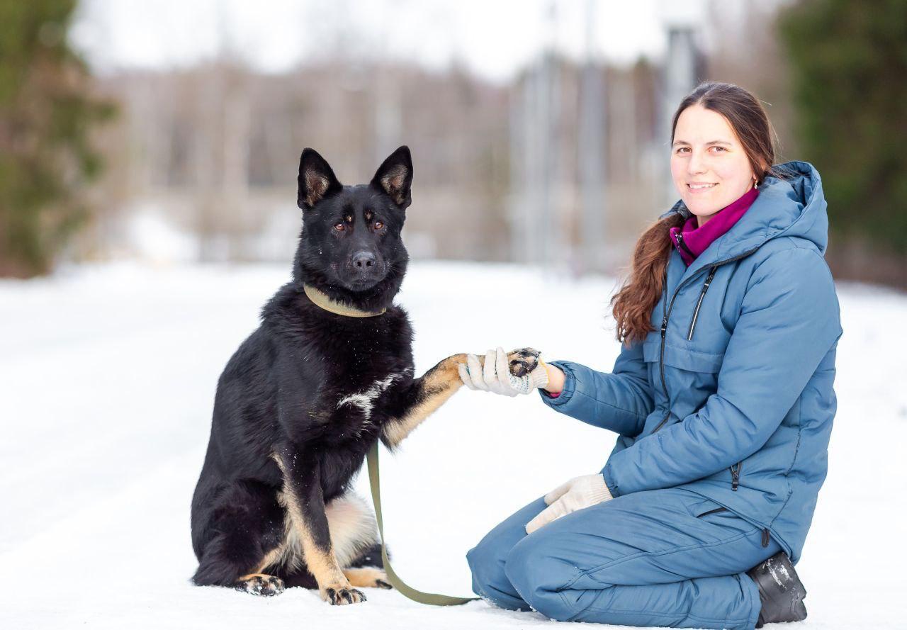 Enlarge Margo, an adopted mixed breed in Fredericksburg, VA image 4/6