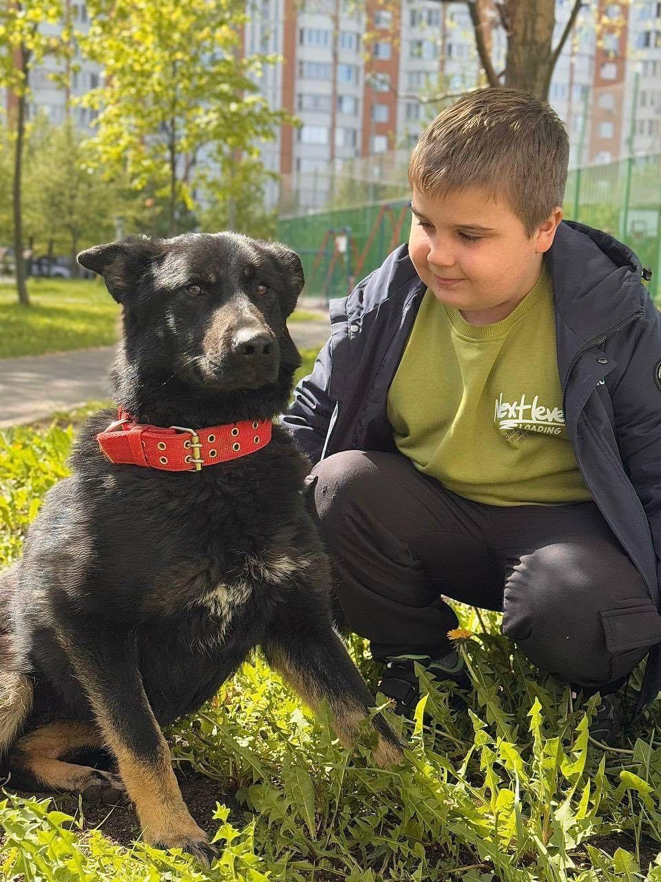 Enlarge Margo, an adopted mixed breed in Fredericksburg, VA image 3/6