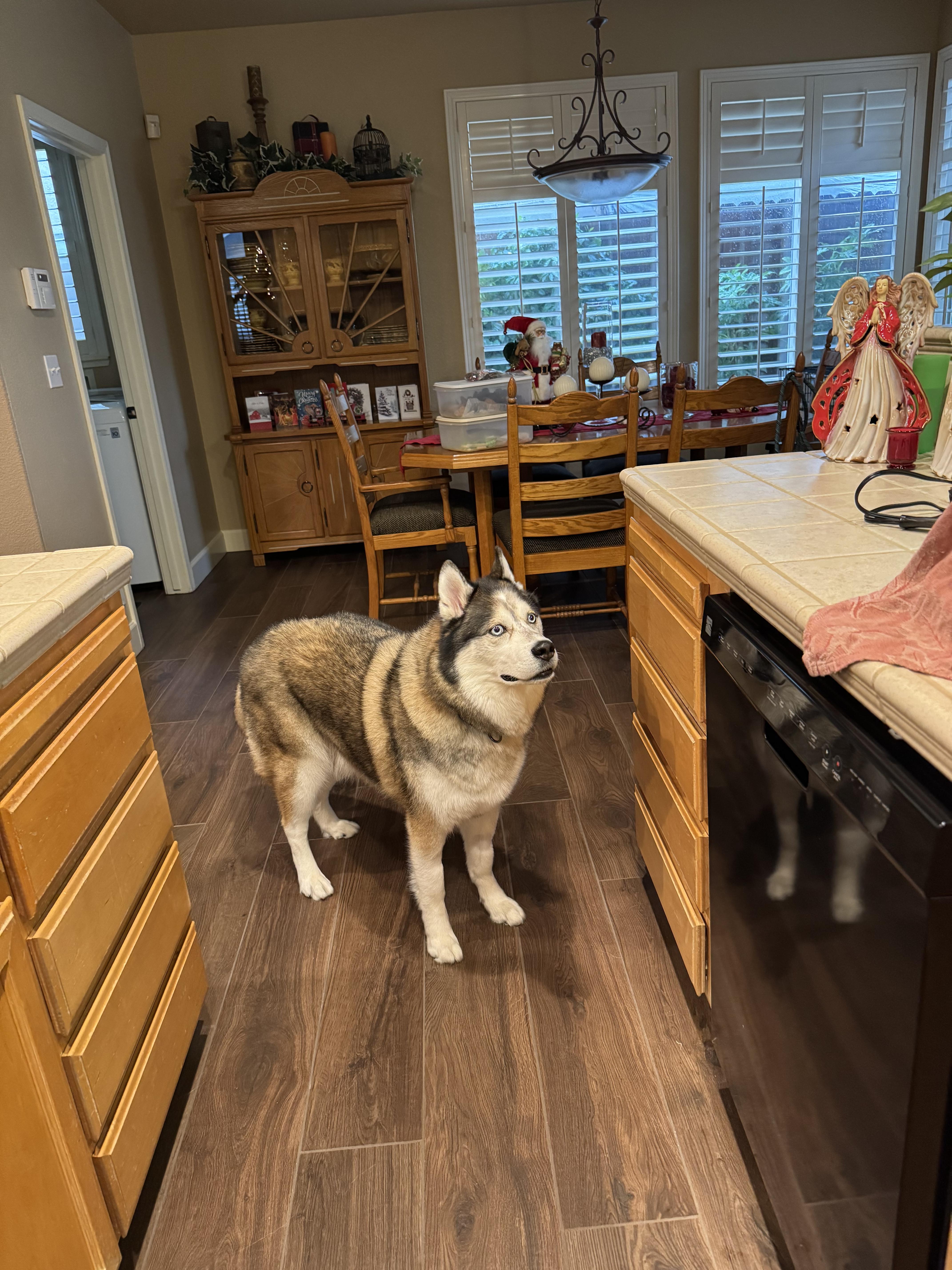 Akio — thumbnail 2