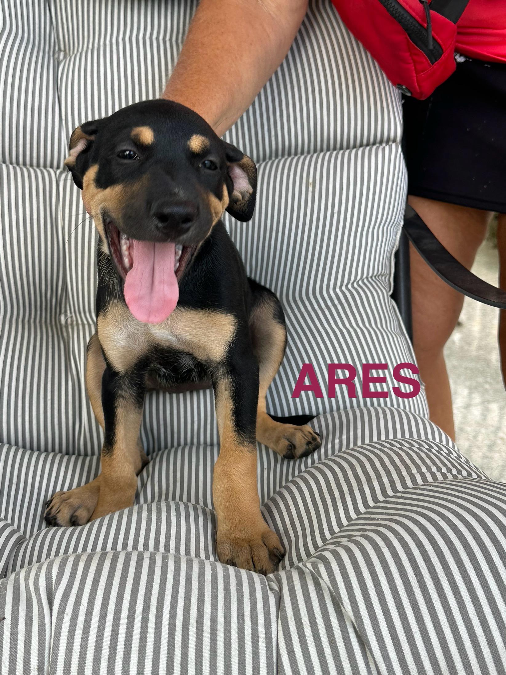 Ares