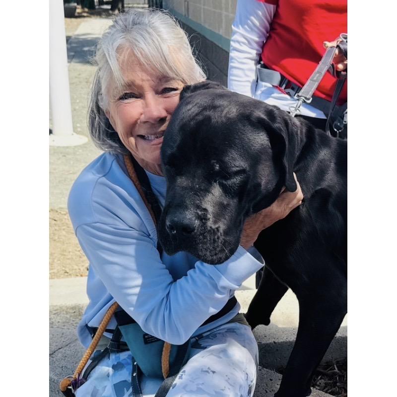 Dozer - ECAS, a Adoptable mixed breed in Pleasanton, CA image 2/6