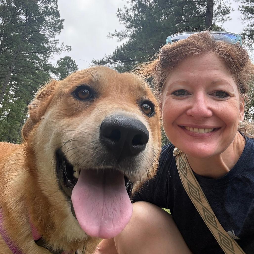Enlarge Andrea, a Adoptable Retriever in Wake Forest, NC image 3/6