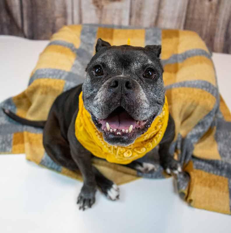 Minnie — thumbnail 2