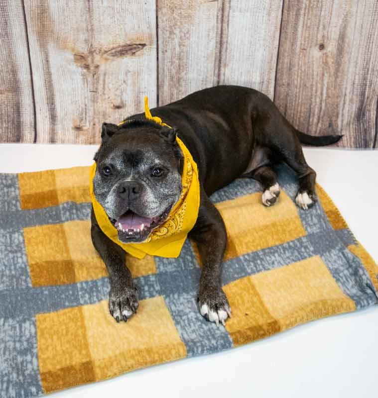 Minnie — thumbnail 3