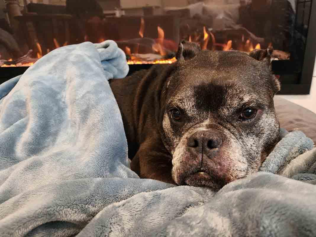 Minnie — thumbnail 4