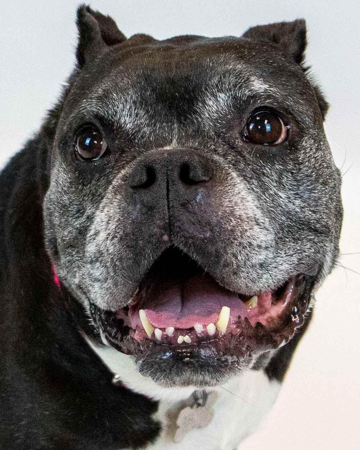 Minnie — thumbnail 6